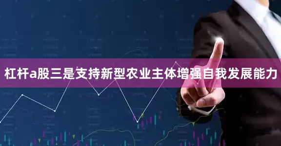 杠杆a股三是支持新型农业主体增强自我发展能力